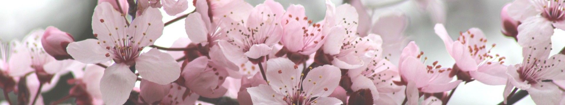 Tavaszi szünet élményprogramok