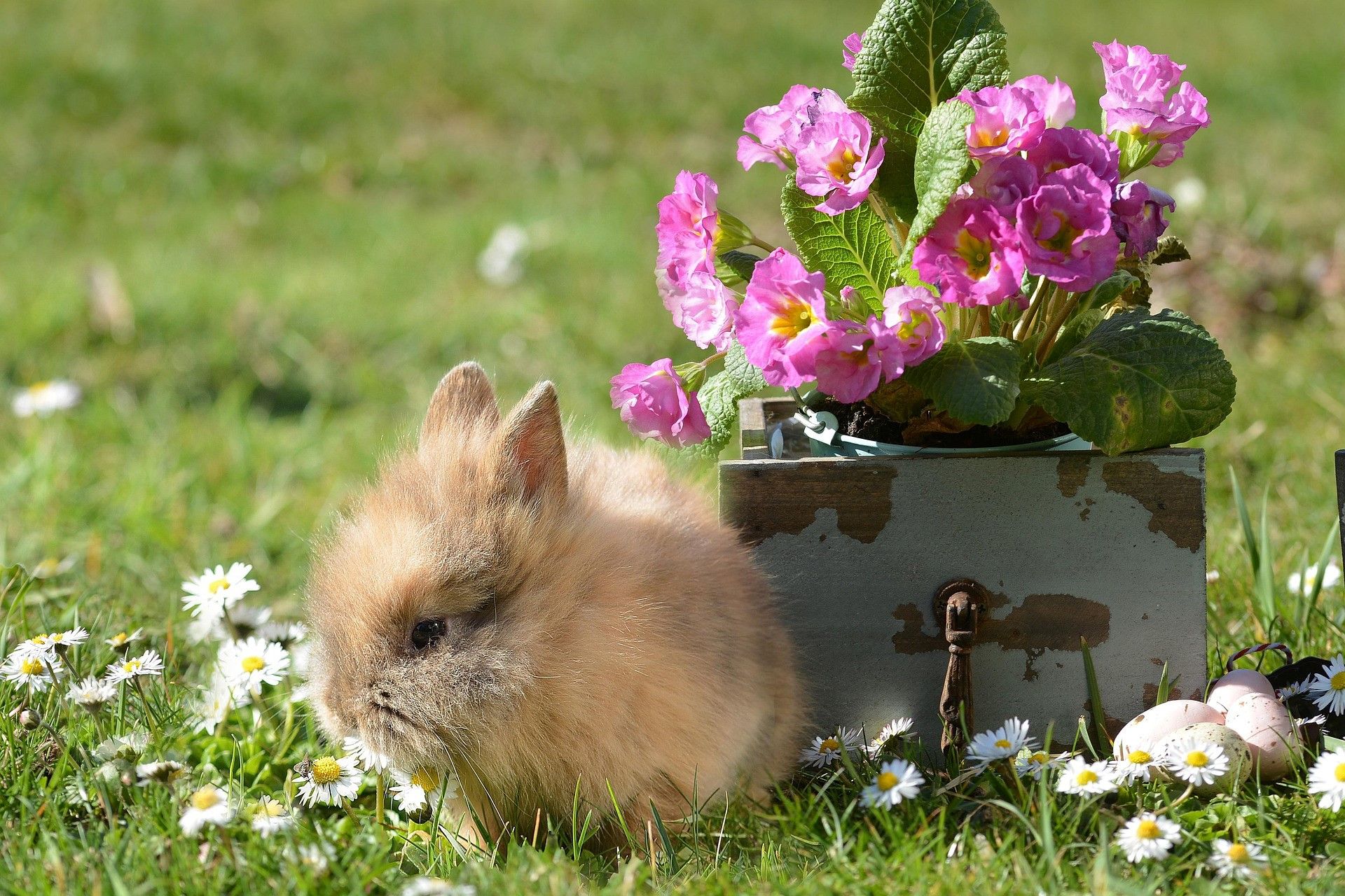 Húsvét és tavaszi szünet