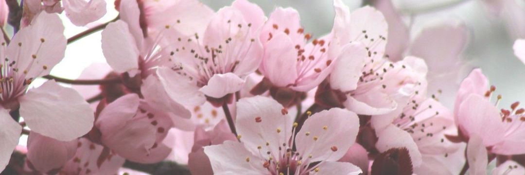 Tavaszi szünet élményprogramok