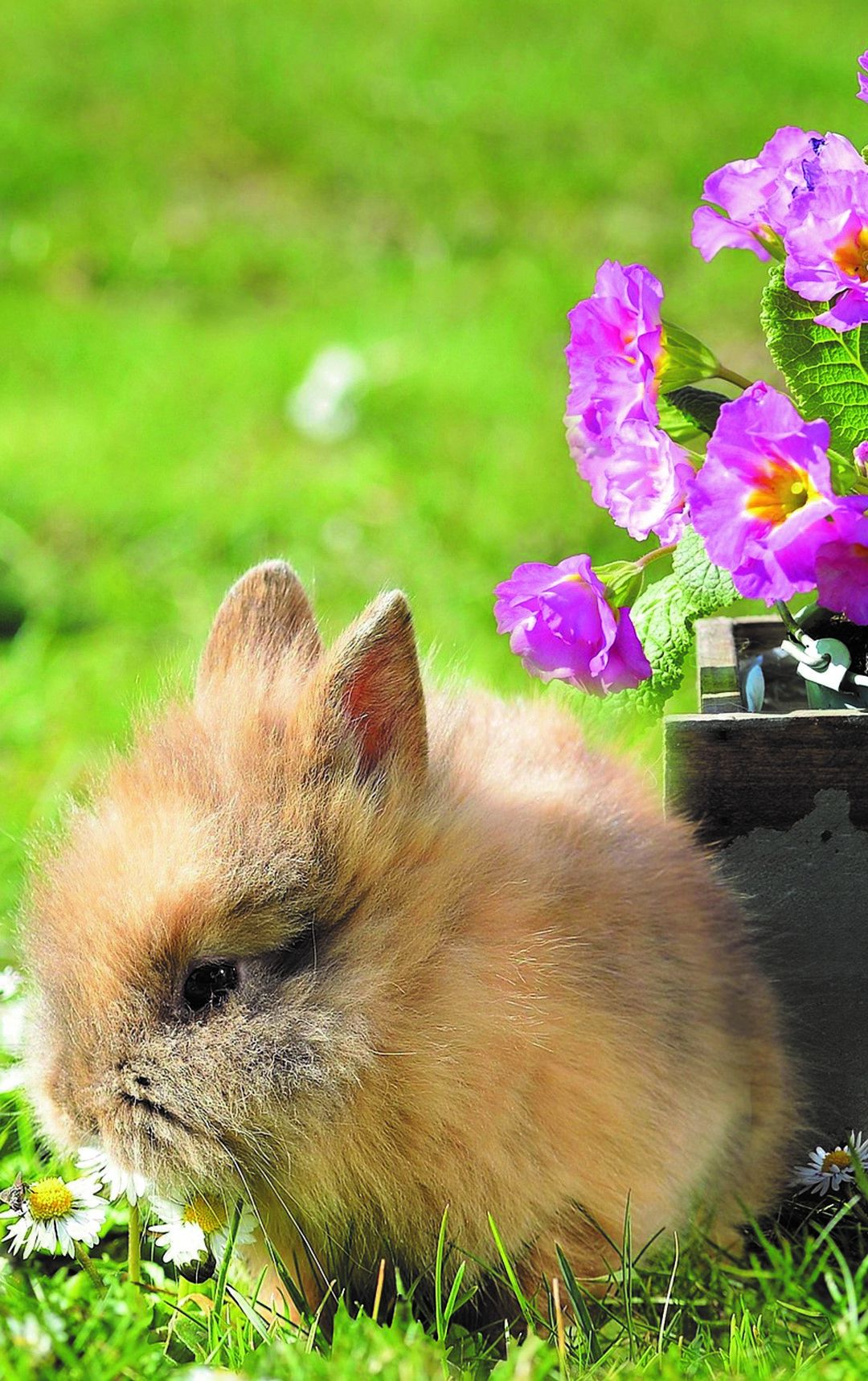 Húsvét és tavaszi szünet