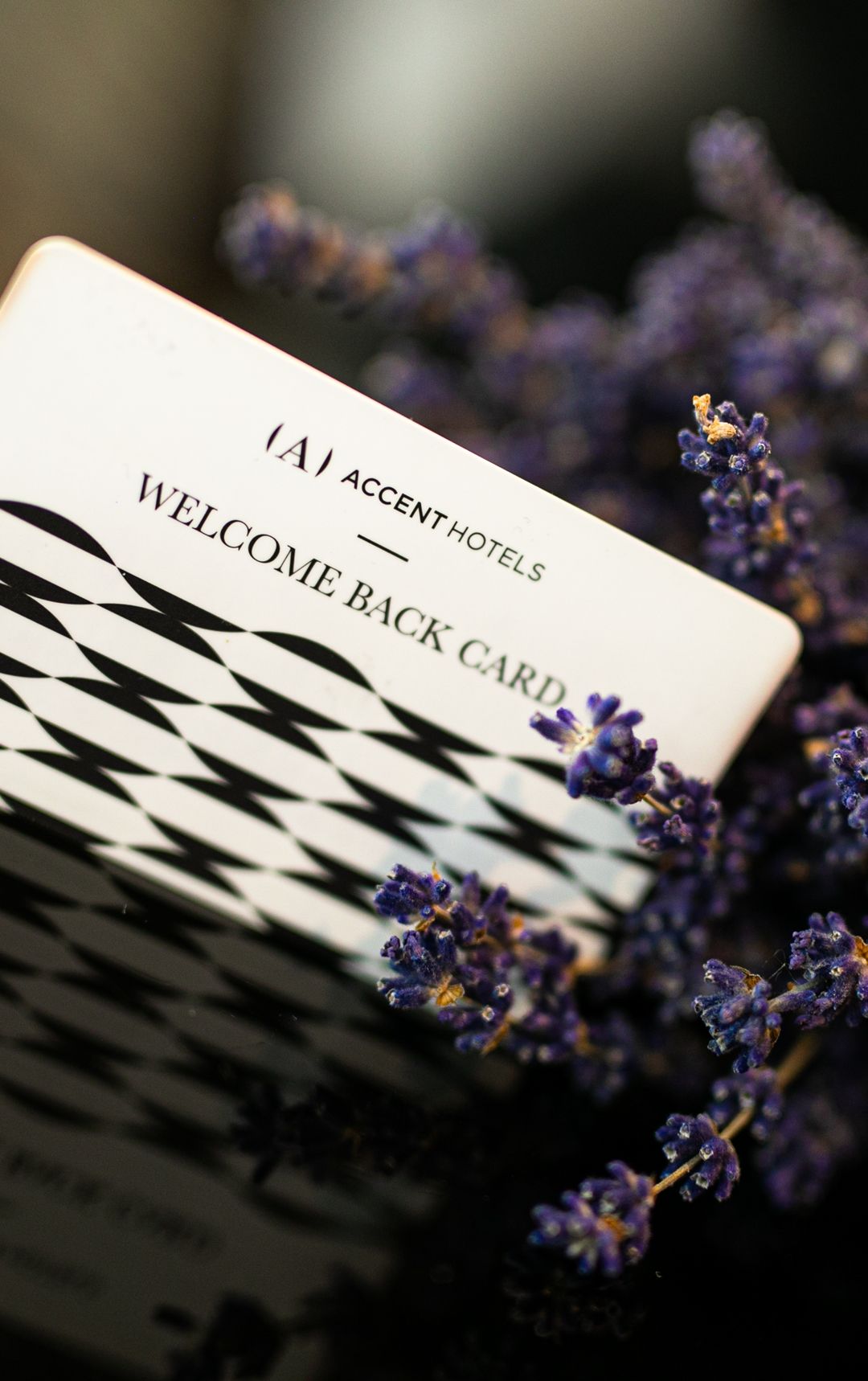 Melde dich an, um den Extra-Rabatt zu erhalten